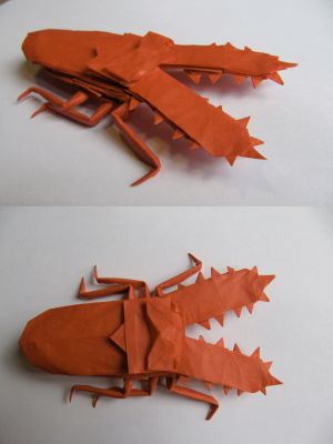 Chainsaw Stag Beetle
