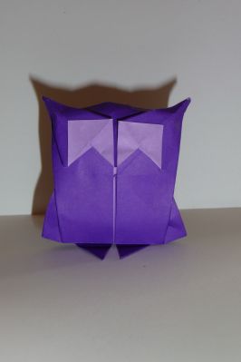 hibou de Yann Fouget
