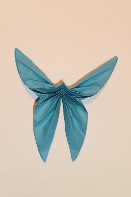 papillon de moi :)
