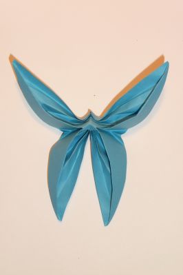 papillon retourné
