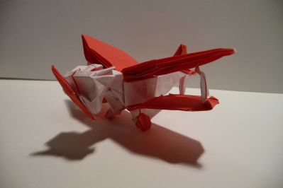 biplane de Marc Kirschenbaum
