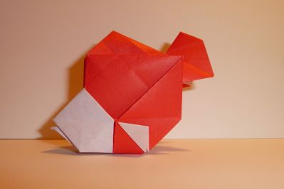 poisson de Hsi-Hua Liu
