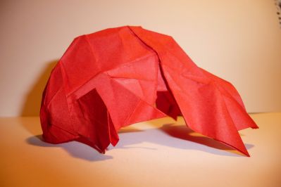 Poisson d'Eric Madrigal
