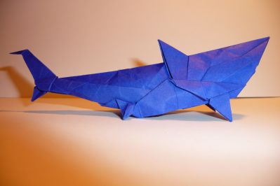 Great White Shark de Joseph Wu
