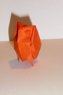 Owl de Davor Vinko
