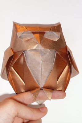 Owl de Roman Diaz, en papier métallisé
