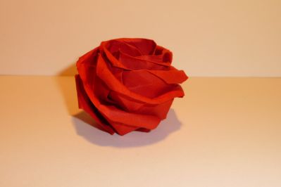 rose de Kawasaki
