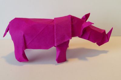 Rhinocéros de Lionel Albertino
