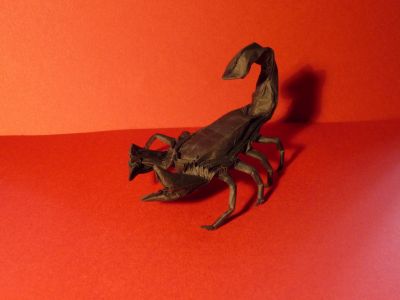 Scorpion de Pasquale D'Auria, en double soie 20cm

