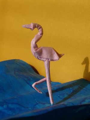 flamand rose
