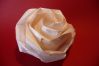 P1260321_resize.JPG
