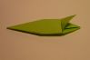 P1260625_resize.JPG