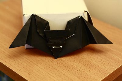 Chauve-souris vampire inspirée du modèle Bat d'Anita Barbour
Participation au challenge création Gore. Par rapport au modèle original, j'ai tenté de modifier la tête afin de faire apparaitre des dents (ou des yeux).
