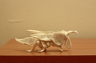 Grasshopper de J Montroll
Carré de soie 20 cm
