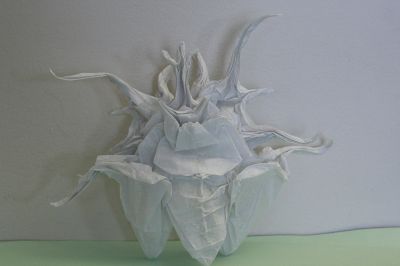 Multi horn beetle - Le Tuan
Carré de papier sulfurisé 33x33
