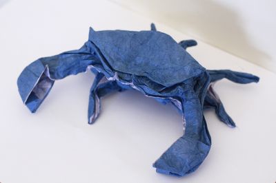 Blue crab - Marc Kirschenbaum
Carré de double soie paille 35x35
