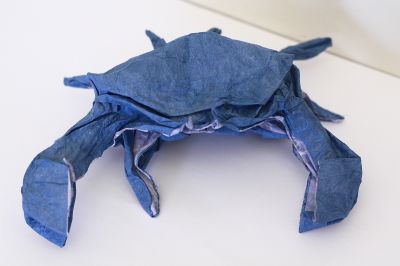 Blue crab - Marc Kirschenbaum
Carré de double soie paille 35x35
