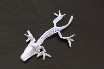Lizard - Roman Diaz
plié à partir de son cp 

