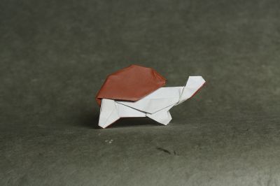 Tortue - Sergey Yartsev
Carré de papier origami
