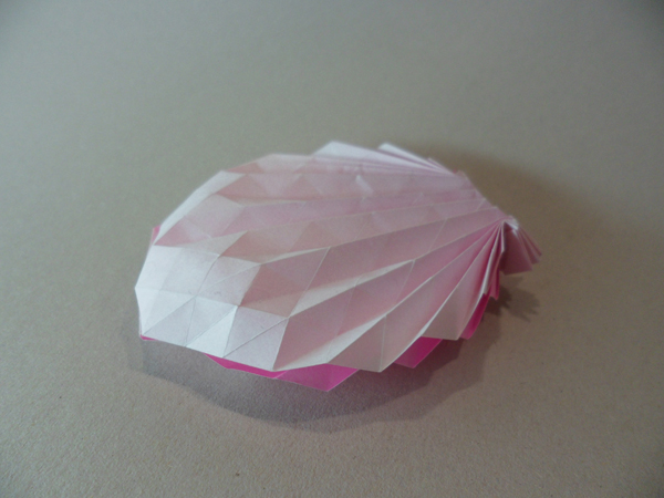 Coquille St-Jaques Andrea Russo
