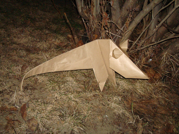 Opossum 003
