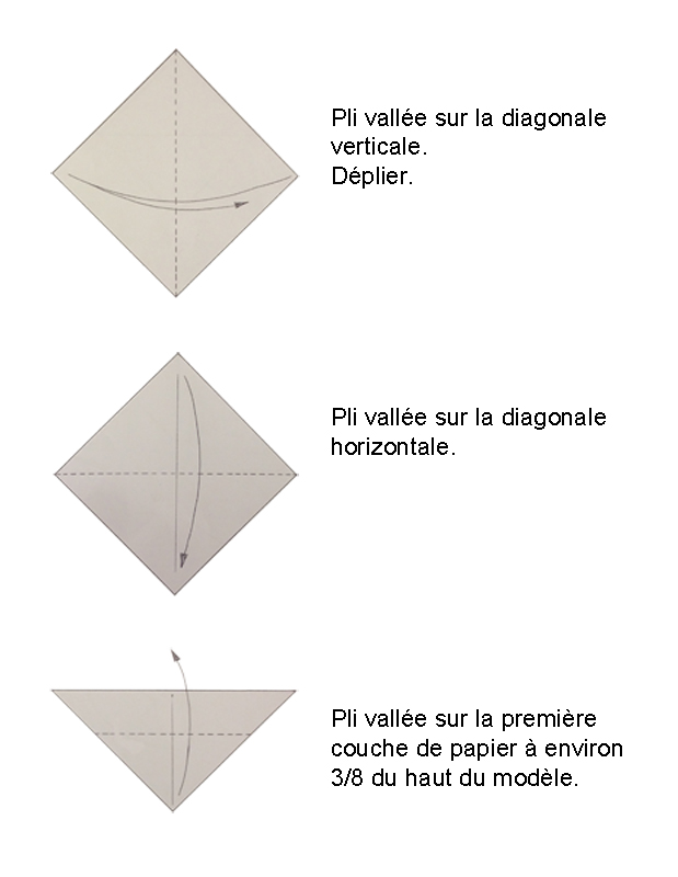 diagram_colombe001.jpg