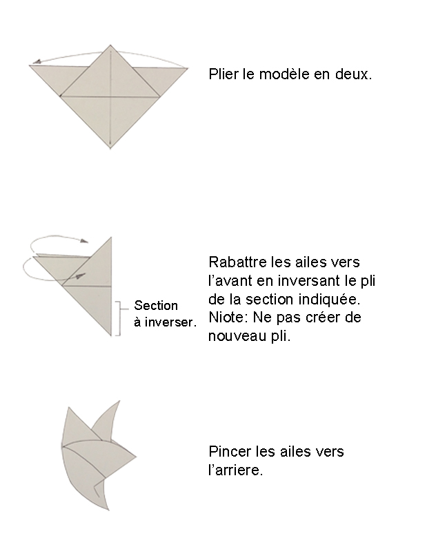 diagram_colombe002.jpg