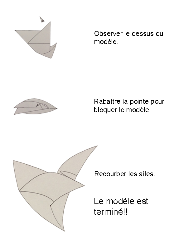 diagram_colombe003.jpg
