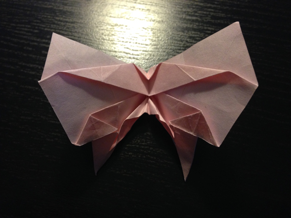 Papillon dessus
