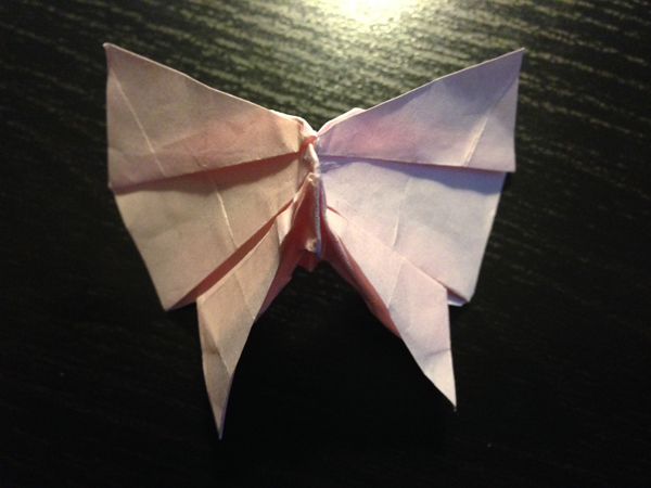 Papillon dessous
