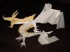 Nom du fichier=dragon_by_kasy.jpg
Taille du fichier=27Ko
Dimensions : 600x450
Ajouté le : 06 Août 2010 dragon_by_kasy.jpg