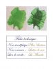 Nom du fichier=herbier_Challenge.jpg
Taille du fichier=225Ko
Dimensions : 1582x2048
Ajouté le : 27 Avril 2016 herbier_Challenge.jpg