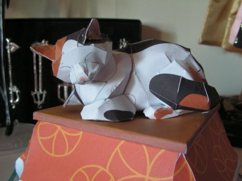 chat sur son kotatsu 1
