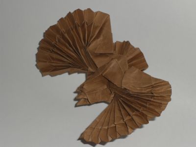 Aigle de Nguyen Hung Cuong

