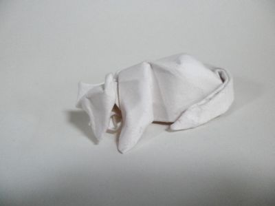 Chat de Giang Dinh
Mon premier essai de wet folding
