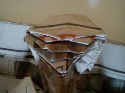 Starscream
