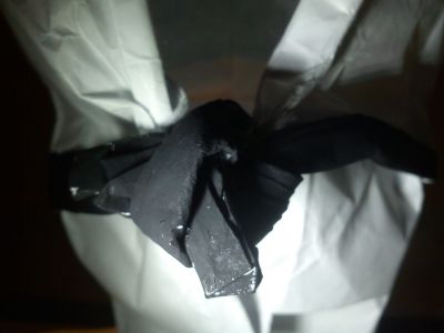 judoka 
Noeud de la ceinture 
