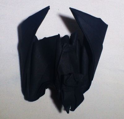 chauve souris
