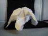DSC00100.jpg