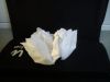 DSC00109.jpg
