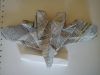 DSC00651.jpg