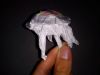 DSC00689.jpg