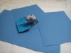 DSC00777.jpg