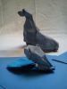 DSC00787.jpg
