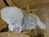 DSC00966.jpg