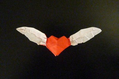 coeur_aile.jpg