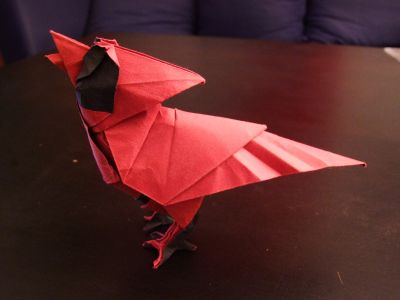 Cardinal
30*30, papier tant rouge + papier de soie noir, plié à partir du livre Essence de Roman Diaz
