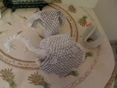 IMG_0220.JPG