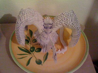 IMG_0225.JPG