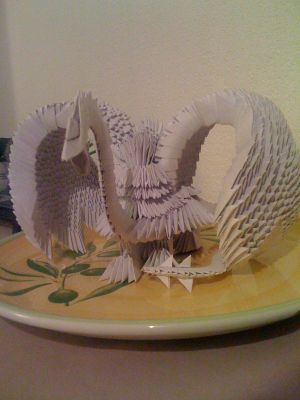 IMG_0228.JPG